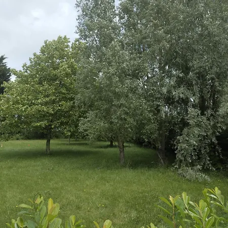 Des Arbres דירה היילו